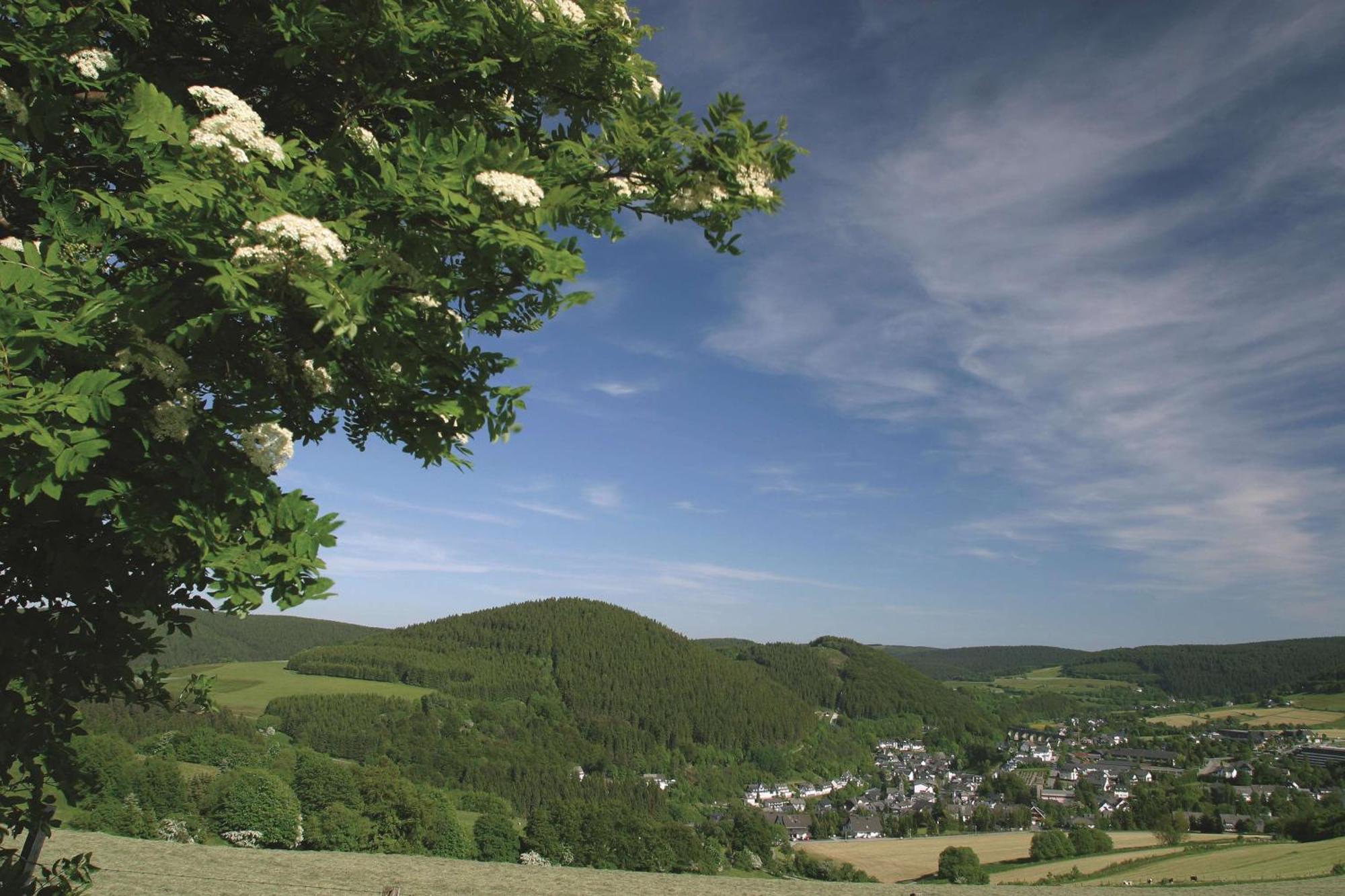 Western Willingen Willingen (Upland)